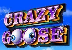 Crazy Goose Pokie Logo
